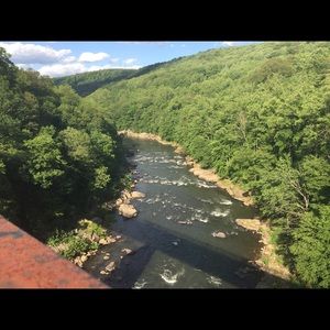 Meet your Posher, Harley